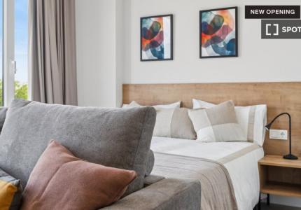 Estudio completo en Madrid