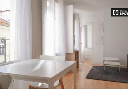 Apartamento de 1 dormitorio en alquiler en Madrid