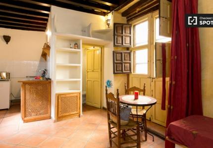 Apartamento de 1 dormitorio en alquiler en Centro, Granada
