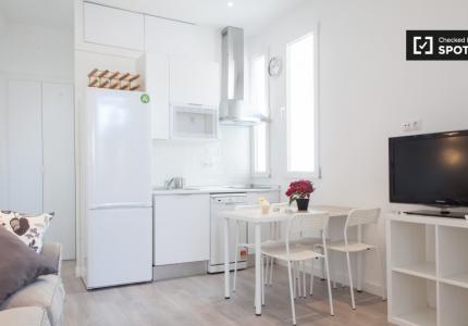 Apartamento de 2 dormitorios en alquiler en Lavapiés, Madrid