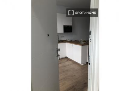 Apartamento de 1 dormitorio en alquiler en Pueblo Nuevo, Madrid