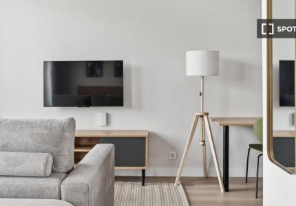 Estudio con acceso gratuito a gimnasio y piscina en Vallecas