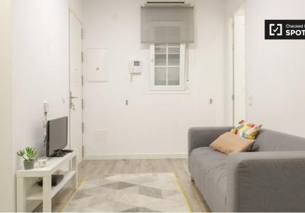 Apartamento de 1 dormitorio en Acacias, Madrid