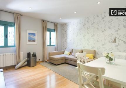 Apartamento de 1 dormitorio en alquiler en Embajadores, Madrid