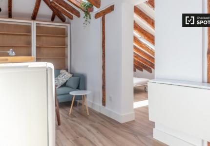 Apartamento de 1 dormitorio en alquiler en Embajadores, Madrid