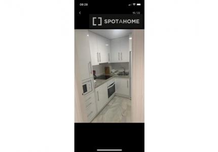 Apartamento de 1 dormitorio en alquiler en Puerto Banús, Málaga