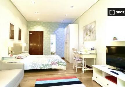 Habitación en apartamento de 4 dormitorios en Abando e Indautxu, Bilbao