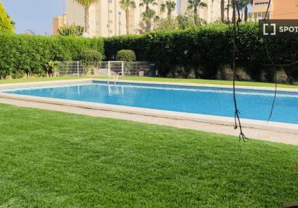 Estudio en alquiler en Alicante