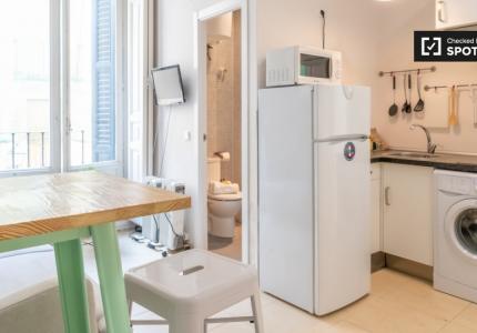 Apartamento de 1 dormitorio en alquiler en Centro, Madrid