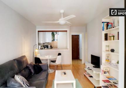 Apartamento de 1 dormitorio en alquiler en Centro, Madrid