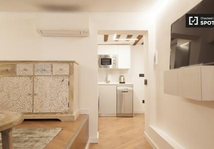 Apartamento de 1 dormitorio en alquiler en Lavapiés en Madrid