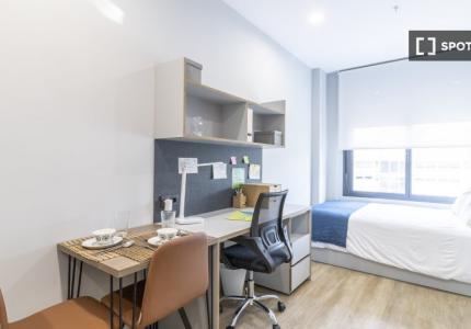 Estudio Estándar en Sevilla