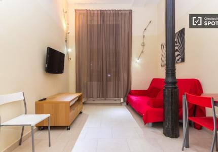 Elegante estudio lofted con aire acondicionado en alquiler en el centro de Madrid