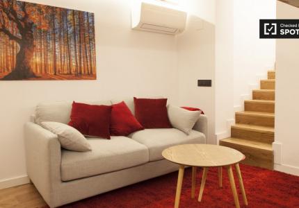 apartamento de 1 dormitorio en alquiler en Lavapiés, Madrid
