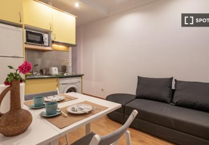 Estudio en alquiler en Trafalgar, Madrid