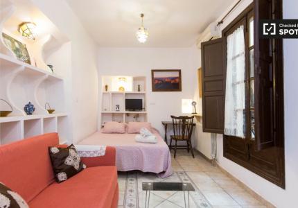 Acogedor estudio en alquiler en Realejo, Granada