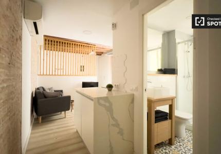 Piso de 1 dormitorio en alquiler en El Raval, Barcelona.