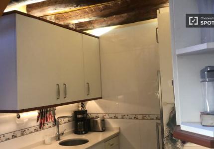 Apartamento de 1 dormitorio en alquiler en Madrid