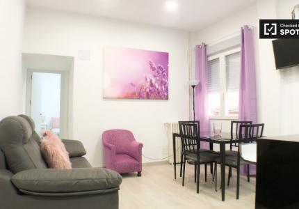 Piso de 1 dormitorio en alquiler en Chopera, Madrid.