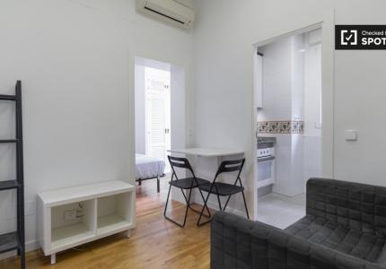Apartamento de 1 dormitorio en alquiler en Embajadores, Madrid
