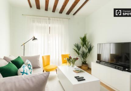 apartamento de 1 dormitorio con aire acondicionado en alquiler en Madrid Centro de la ciudad