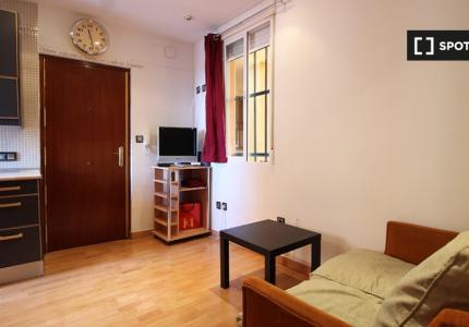 apartamento de 1 dormitorio en alquiler en Lavapiés, Madrid
