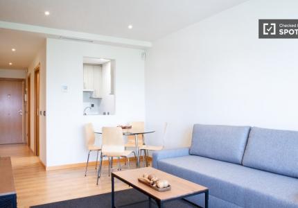 Apartamento de 1 dormitorio en alquiler en Canillas, Madrid