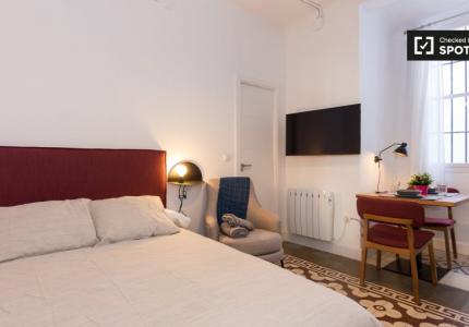 Acogedor estudio en alquiler en el centro de la ciudad, Granada