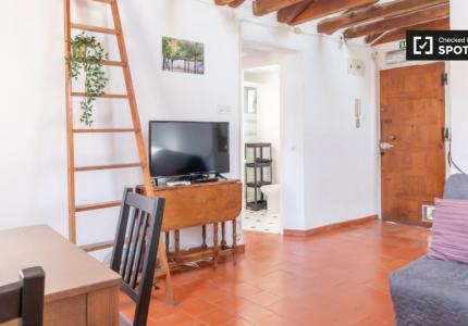 Apartamento de 1 dormitorio en alquiler en Centro, Madrid