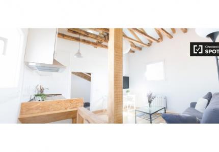 apartamento de 1 dormitorio en alquiler en Madrid Centro