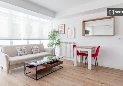 Estudio en alquiler en Castillejos, Madrid