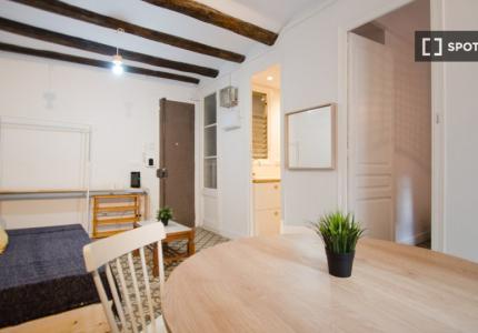 Estudio en alquiler en El Raval, Barcelona