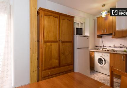 Acogedor estudio con balcón en alquiler en Granada Centro