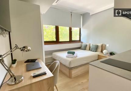 Estudio en alquiler en Bellas Vistas, Madrid