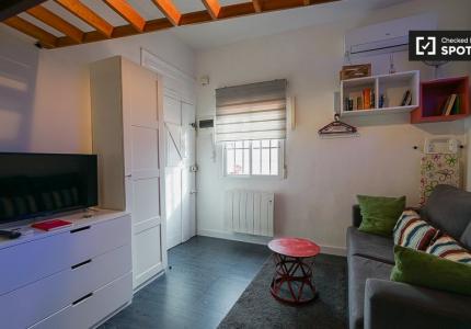 Fantástico estudio en alquiler en Lavapiés, Madrid