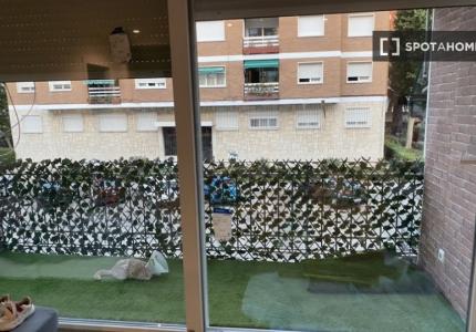 Apartamento de 1 dormitorio en alquiler en Ciudad Lineal, Madrid