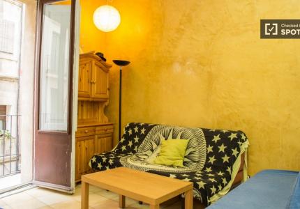 Estudio en alquiler en el Raval, Barcelona