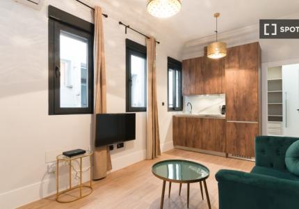 Estudio en alquiler en Ríos Rosas, Madrid.
