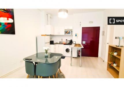 Apartamento de 1 dormitorio en alquiler en Madrid