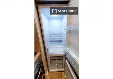 Apartamento de 1 dormitorio en alquiler en Madrid