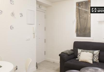 Apartamento de 1 dormitorio en alquiler en Palacio, Madrid