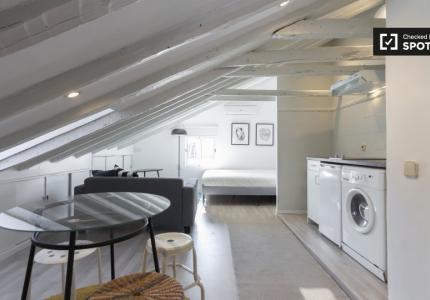 Elegante estudio en alquiler en Centro, Madrid