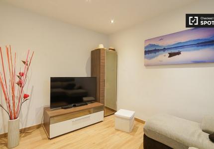 Apartamento de 1 dormitorio con aire acondicionado para alquilar en el centro de Madrid.