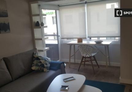 Apartamento de 1 dormitorio en alquiler en Nueva España, Madrid