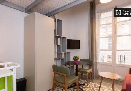 Tidy estudio en alquiler en el centro de la ciudad, Granada