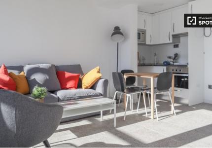 Piso de 1 dormitorio en alquiler en Guindalera, Madrid.