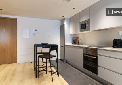 Apartamento de 1 dormitorio en alquiler en Nueva España, Madrid
