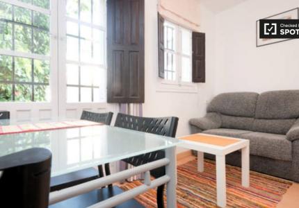 Apartamento de 1 dormitorio en alquiler en Albaycín, Granada