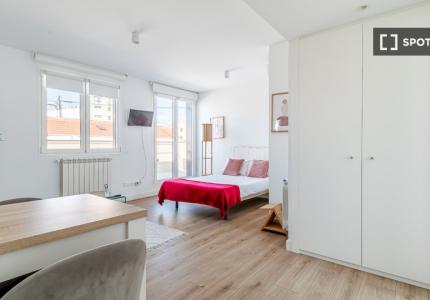 Estudio en alquiler en Castillejos, Madrid
