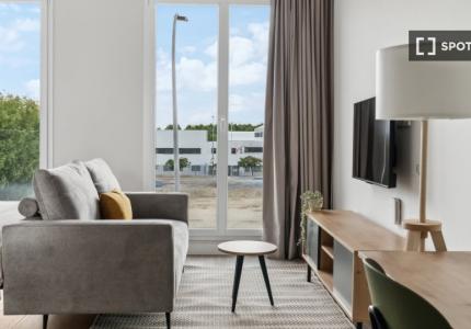 Estudio completo en Madrid